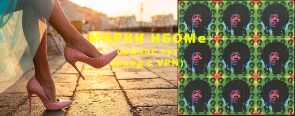 стафф Алексин
