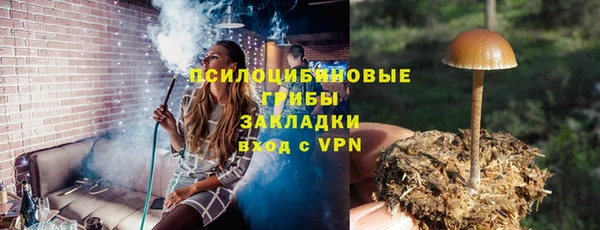 стафф Алексин